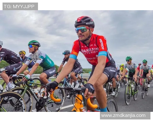 匈牙利与罗马尼亚排球对决精彩回顾与赛场亮点分析